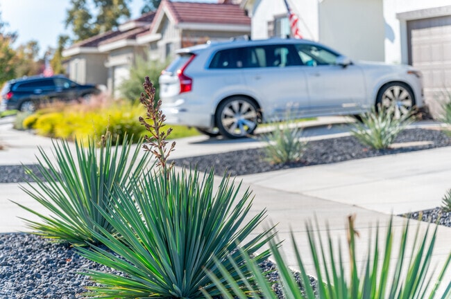 Many homes in Rancho Murieta feature unique landscaping.
