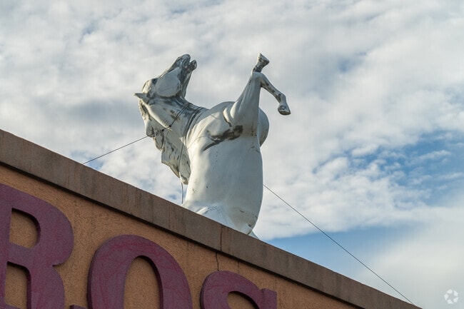A wild horse draws attention to the Sanchez Bros Western Apparel Store in Aurora's North River.