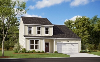 305 Red Globe Trail Unit 38325791, Lexington, SC 29072