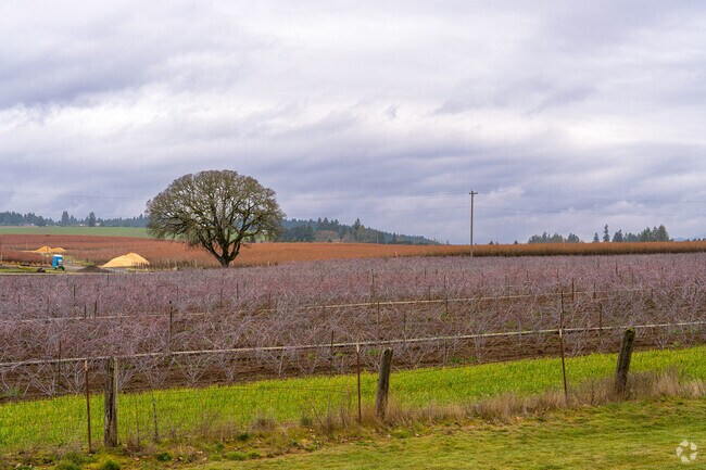 Residents love the rural scenery surrounding Cornelius and can enjoy visiting farms for seasonal harvests and u-pick experiences.