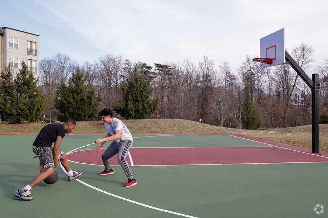 Enjoy a friendly game with your buddies at Dulles Station Community Park near Oak Grove.