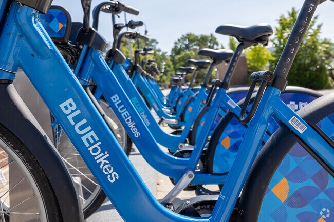 Blue Bikes are a fun and convenient way to travel around St Marks.