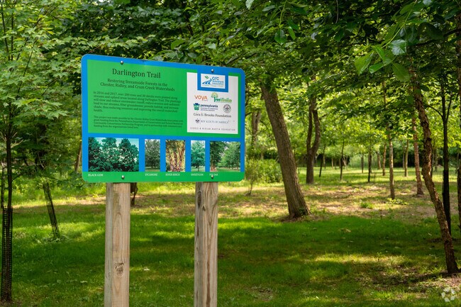 Many native trees were planted along Darlington Trail as part of a restoration effort.