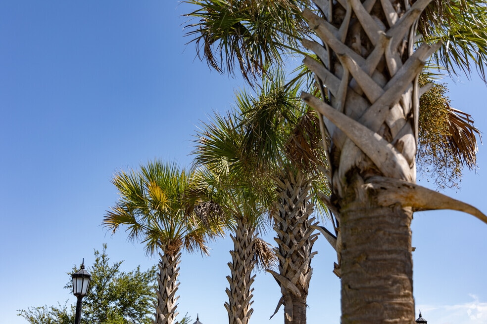 Video_Neighborhood_Eastern Wharf_540849-V2