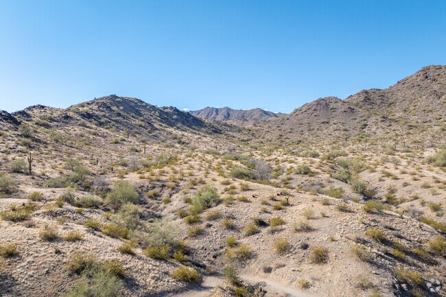 Experience the tranquility of the desert landscape at Skyline Regional Park in Verrado.