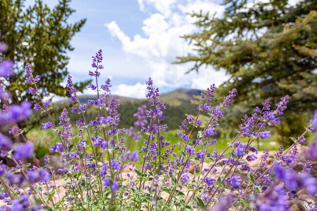 Beautiful mountain views are a daily backdrop for residents of Peregrine.