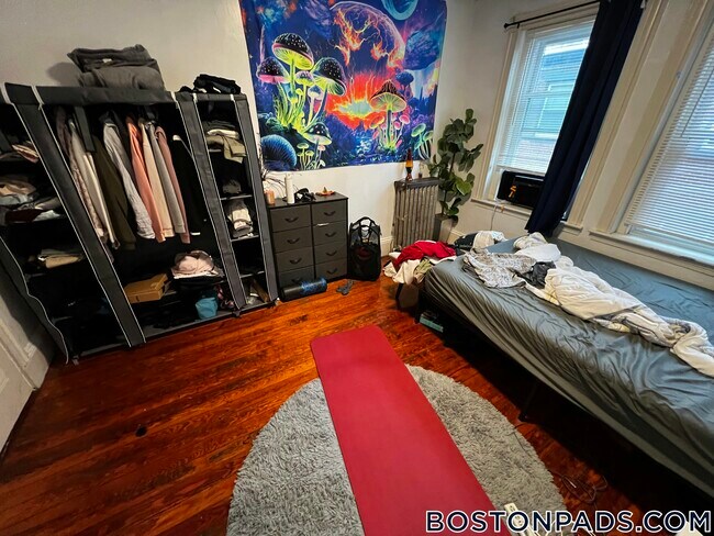 4.5 Centre St unit 2, Boston, MA 02119 - photo 6