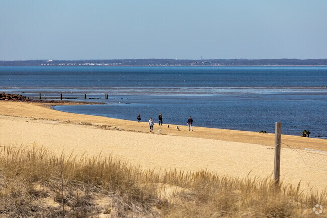 Ideal Beach in North Middletown is a popular place for dog-walkers and bird-watchers.