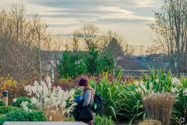 Person enjoying community garden at Brookville Gardens Park.