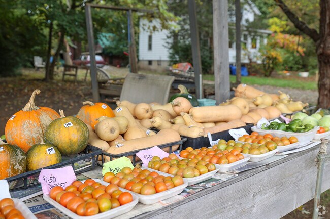 Roadside stands with fresh produce are found in Sandy Hill.