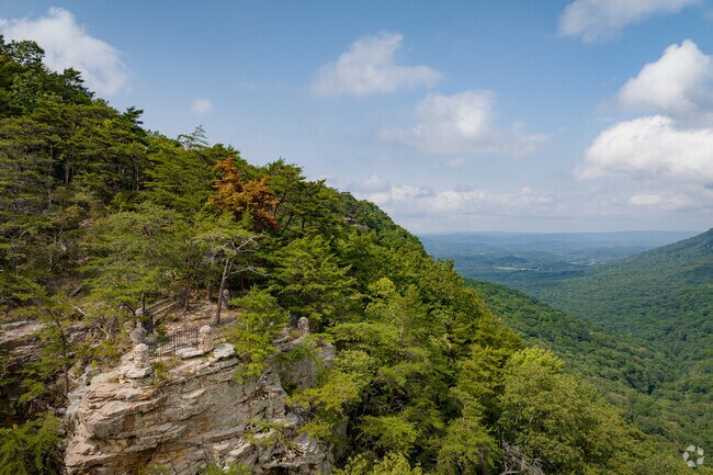 Get lost in the mountain views at Cloudland Canyon State Park.
