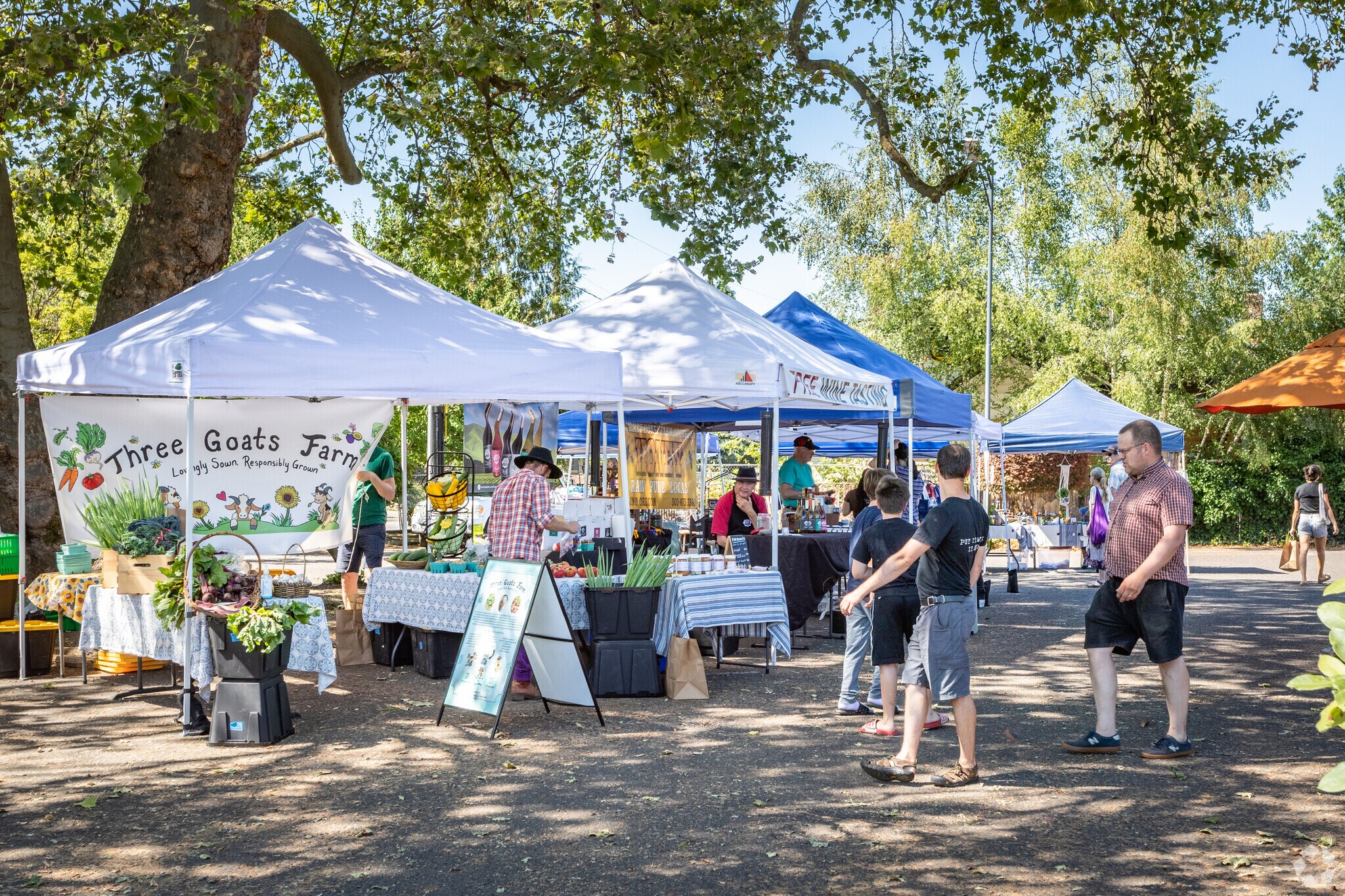 Row of Vendors during a farmers market exchange in Richmond, Oregon.