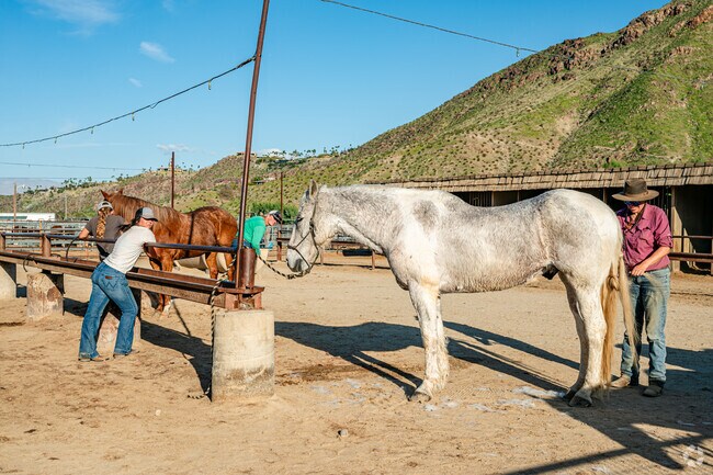 Indian Canyons residents can groom their horses at the Smoke Tree Stables.