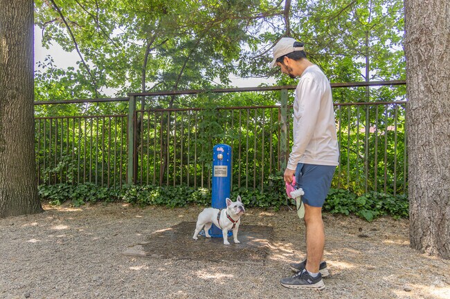The Union Street Dog Park offers a playful retreat for your four-legged friends.