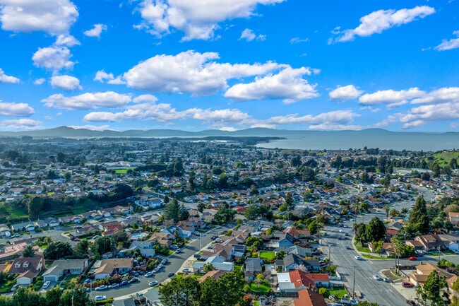 Find your forever home in Tara Hills, CA.