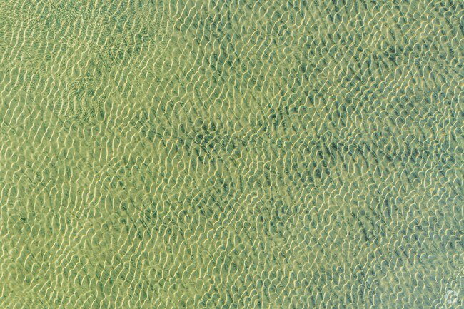 A hypnotizing pattern can be seen looking down as the light going through the Lake Tahoes water.