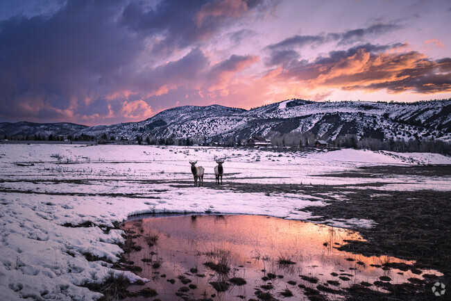Craig, Colorado, the Elk Capital of the World, offers breathtaking scenery and abundant wildlife. With its majestic elk herds roaming freely, this charming town is a haven for hunters, photographers, and nature enthusiasts seeking unforgettable outdoor adventures.