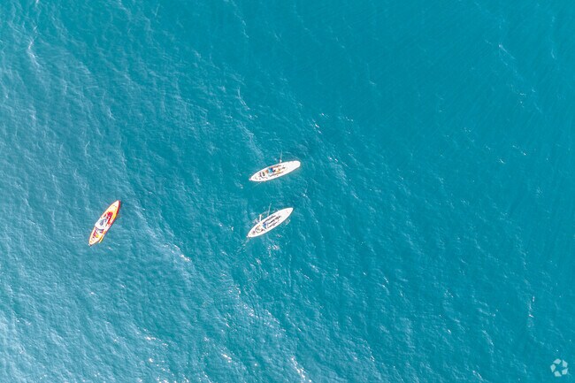 Offshore kayak fishing is very popular in Seacrest with different companies offering charters.