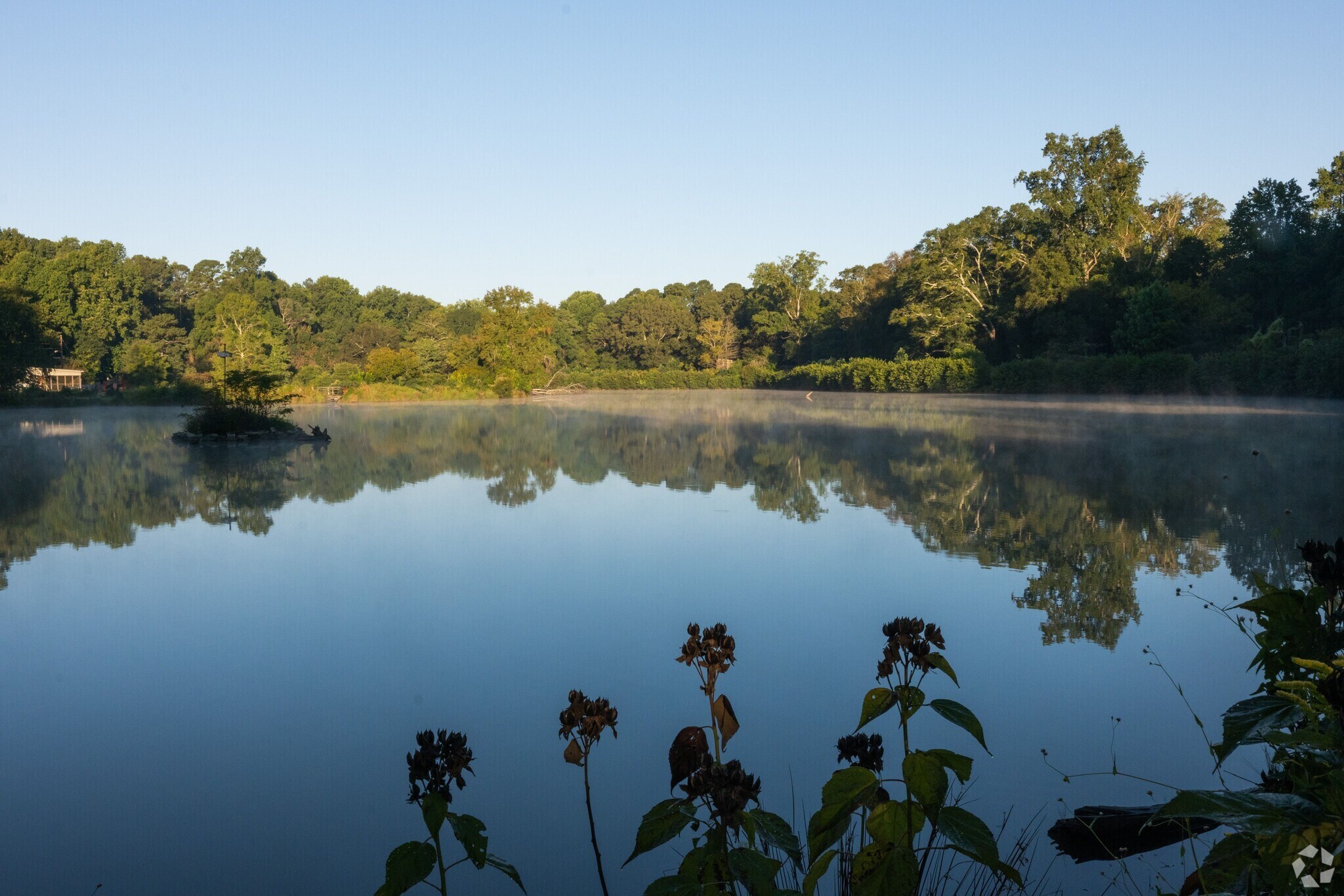 Jolly Elementary School, Clarkston GA Rankings & Reviews