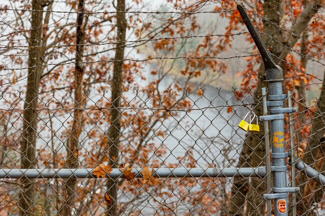A fence at Hadley overlook is a popular spot for young locals to leave locks symbolizing love.