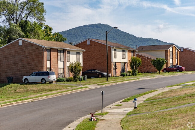 Other than some industrial facilitie housing is what lines almost all of the streets in Hollins.
