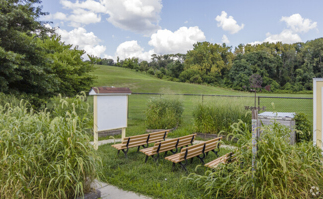 Hanlon Park_Gwynns Falls ES_ Garden 3