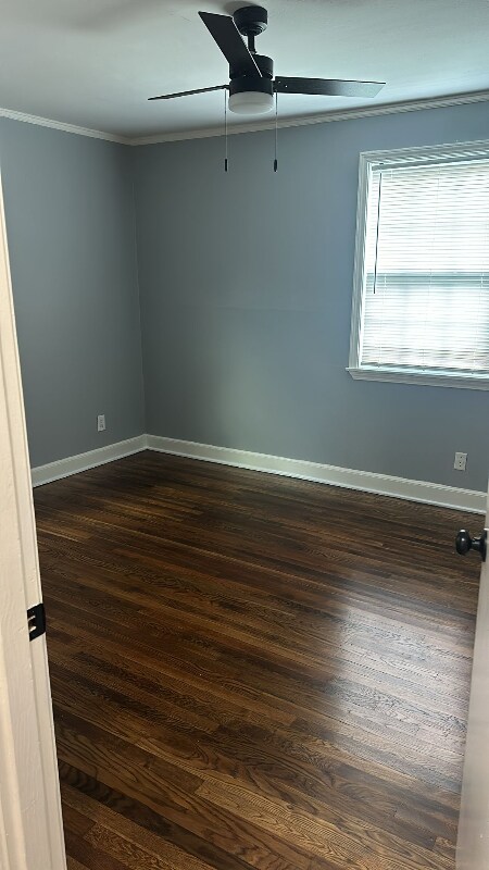 4161 Dunn Ave, Memphis, TN 38111 - photo 4