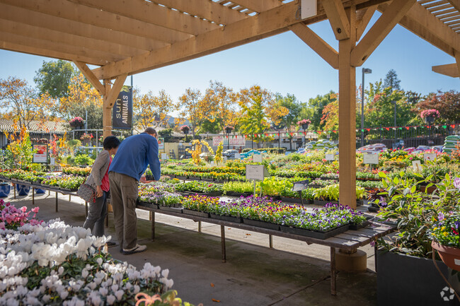 At Summerwinds Nursery in Silvergate you'll find a variety of plants.
