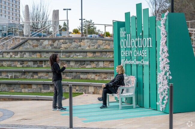 The Collection at Chevy Chase is a popular spot amongst residents.