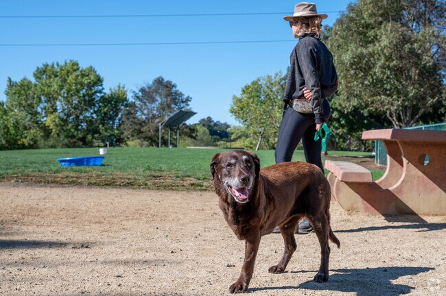 Wardlaw dog park is the perfect spot to play with your furry friends.