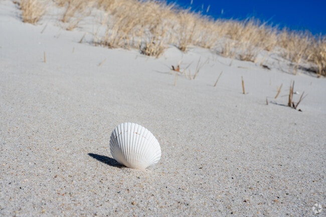 Spend your summer days collecting sea shells on Smugglers Beach in South Yarmouth.