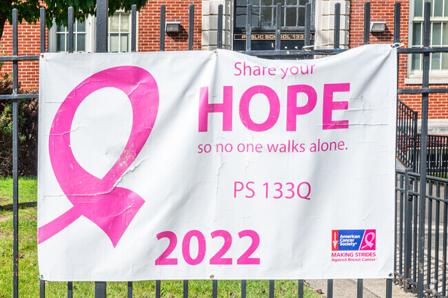 PS 133 is a great choice for Bellrose neighborhood