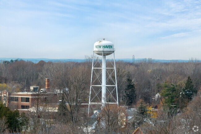 New Haven is an historical neighborhood located within reach of Macomb and Wayne County.