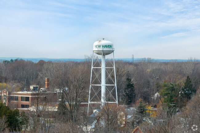 New Haven is an historical neighborhood located within reach of Macomb and Wayne County.