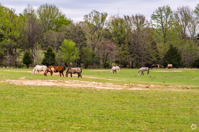 Shelby Farms Stables offers horseback riding seven days a week in the Cordova neighborhood.