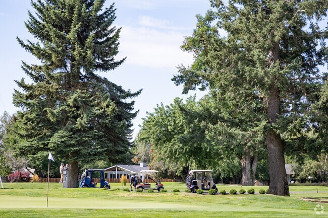 A group of golfers tees off on hole 10 at Avondale Golf Club.