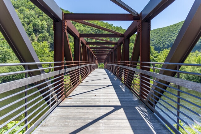 Take a stroll over the Lehigh River Trail that runs along Penn Forest.
