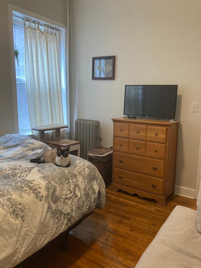 1219 Commonwealth Ave unit 4, Boston, MA 02134 - photo 2