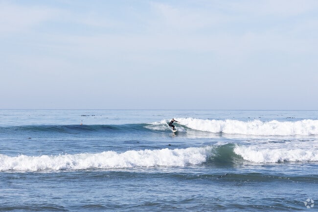 Surfing is a popular hobby in San Simeon.