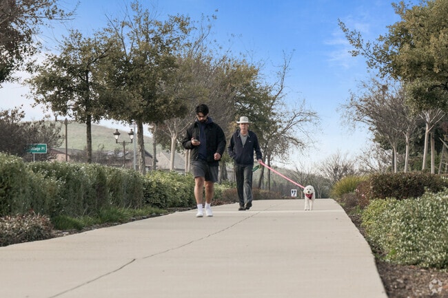 People enjoy afternoon walks exploring Deer Ridge-Marsh Creek.