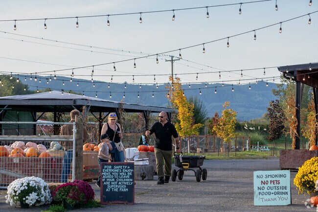 Families enjoy food and drink at Linnton's pumpkin patch.