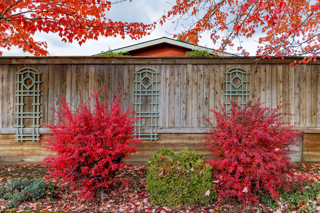Trellises on a fence add a sense of rhythm to the streets of Mountain View Meadows-Orchard.