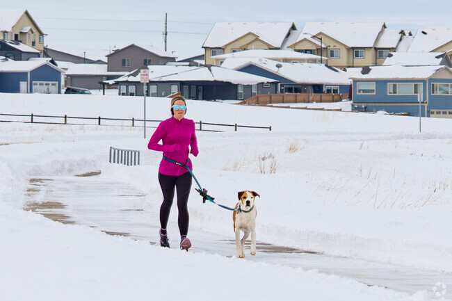 A Sheridan jogger braves the cold to take her dog on her afternoon run.