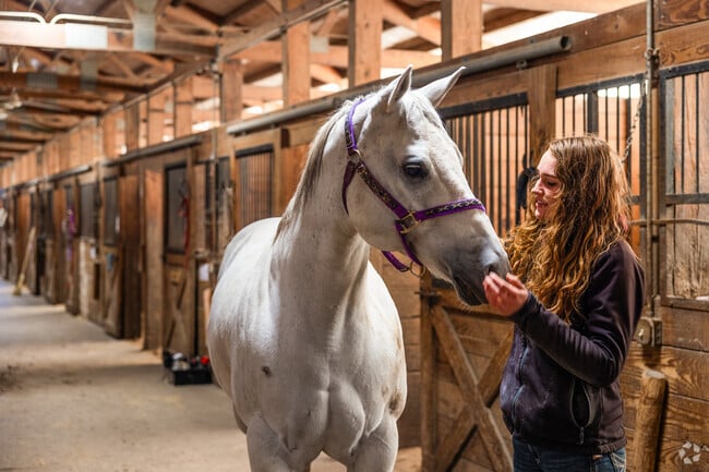 There are several ranches in the area for horseback riding in near Slocum Lake.