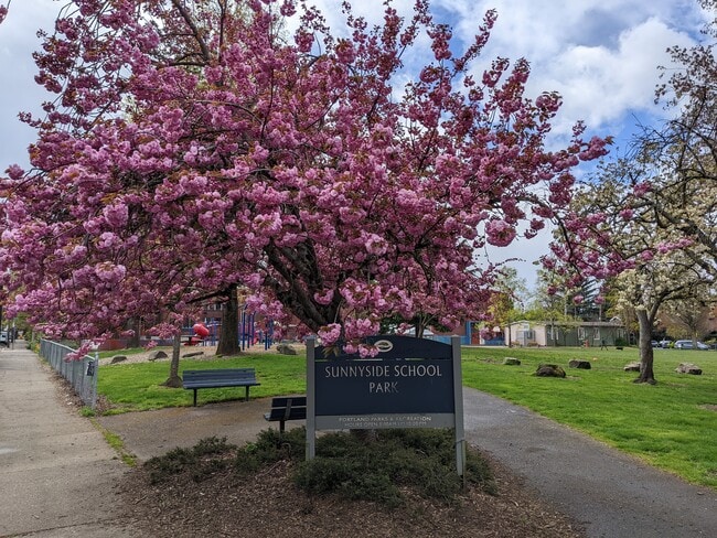 939 SE 35th Ave, Portland, OR 97214 - photo 7