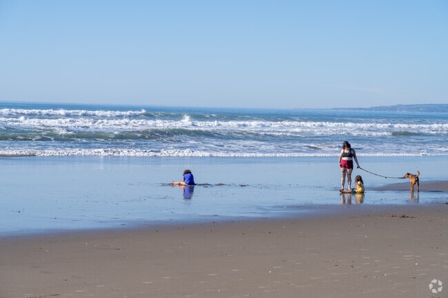 From rolling hills to sandy shores, Watsonville is a hidden gem on California’s Central Coast.