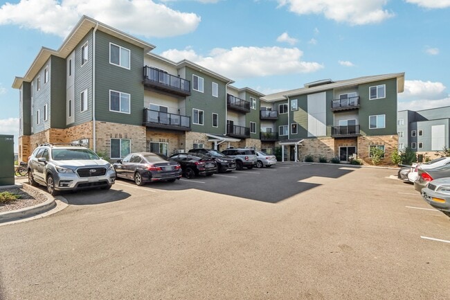 Terravessa 2 - 4880 Brassica