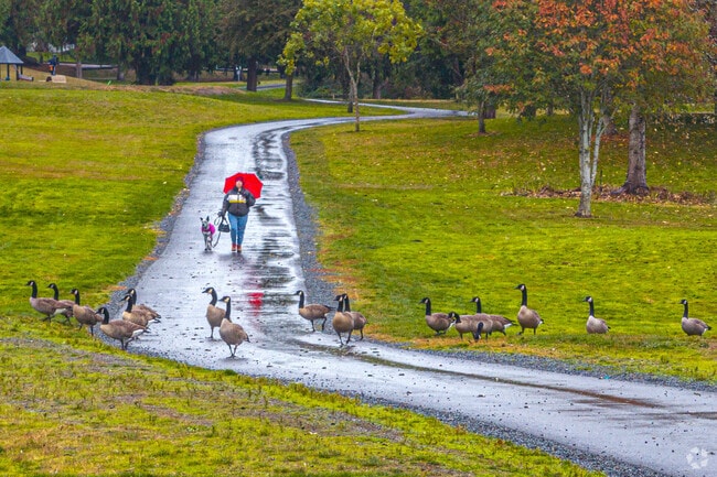 Ballinger Park is a great place to take a walk in the Echo Lake neighborhood.