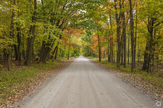 Serene country roads are shaded by overhanging trees in Grattan Township.