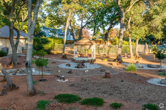 Lush trees and beautiful landscape are commonly found in Shingle Springs.